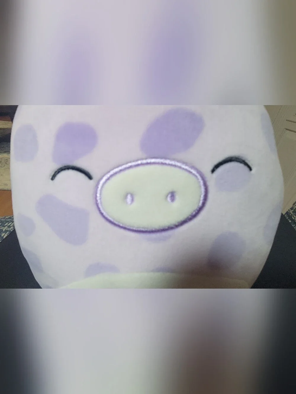 Squishmallows 8.5